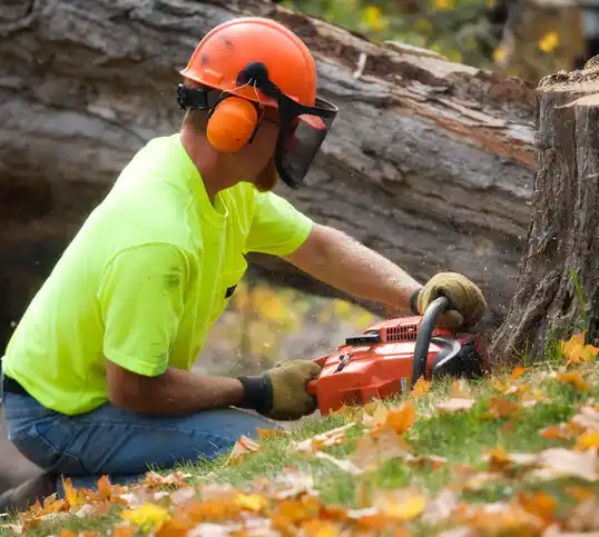 tree services Townsend